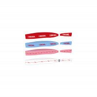 iKON iDECIDE ELASTIC BAND SET