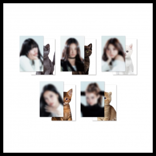 【六站联合】 MEOVV_02.LENTICULAR_JAPAN POP-UP STORE MD